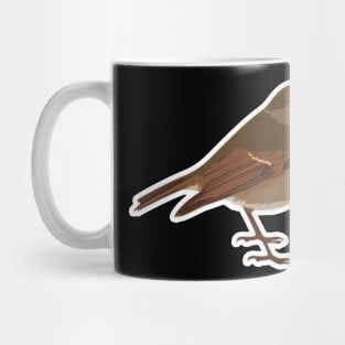 Birds of a feather Mug